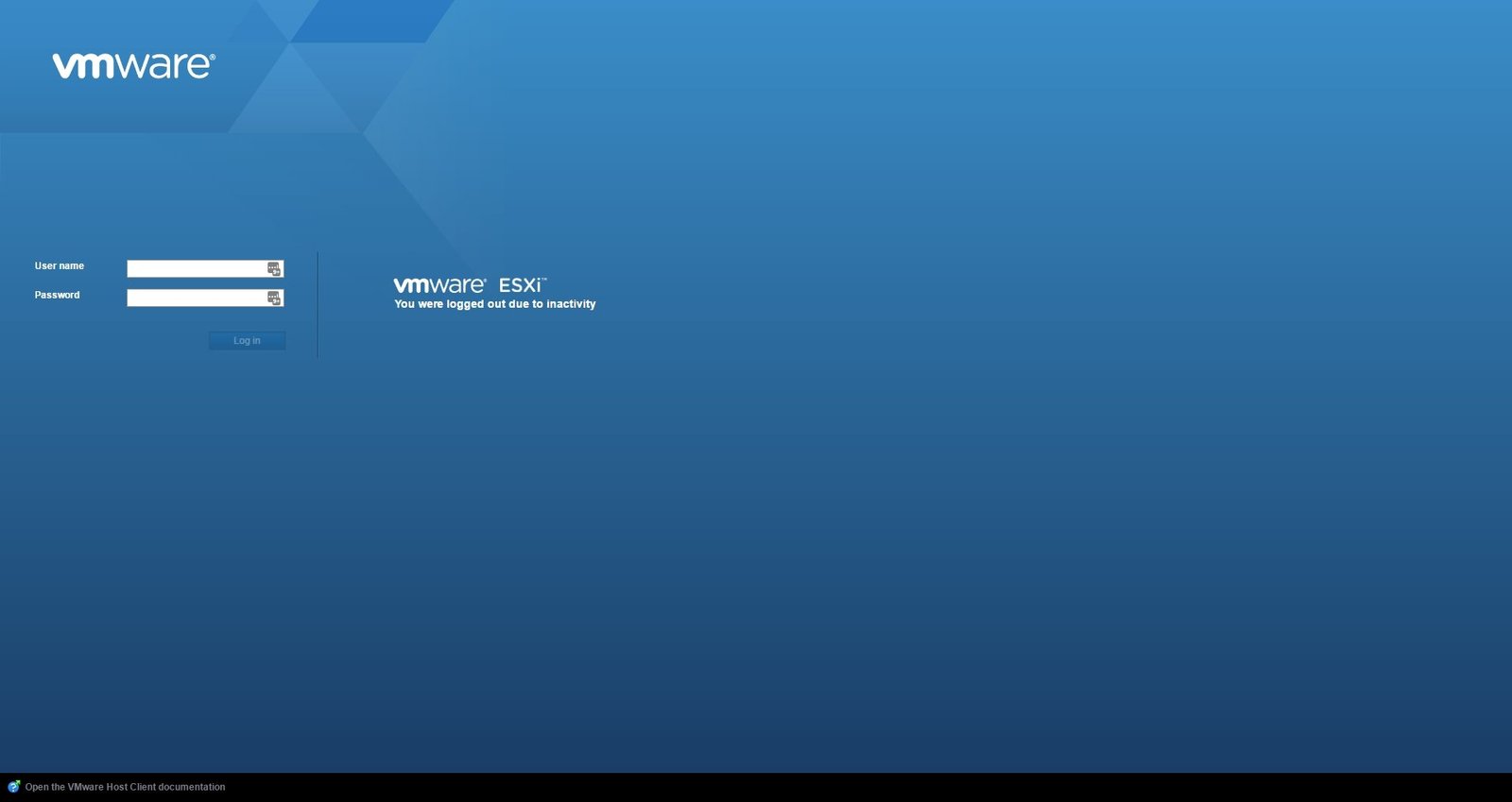 VMware ESXi OpenSLP Remote Code Execution Vulnerability